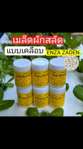 เมล็ดพันธุ์ผักสลัด ชนิดเคลือบ Enza Zaden กระปุก 1000 เมล็ด