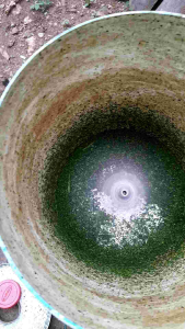 pisau pencacacah rumput dedaunan dan sayuran untuk pakan entok unggas ayam bebek  dan kambing