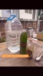 หัวเชื้อน้ำเขียวเข้มข้น (สาหร่ายคลอเรลล่า)ขนาด 600 ml. สำหรับเลี้ยงไรแดง