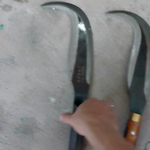 Dao rửa dừa nhíp xe 36cm