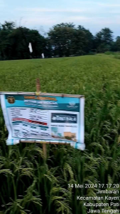 pupuk summa sp Pupuk Berkualitas Tinggi Solusi Pertanian Ramah Lingkungan - Lazada