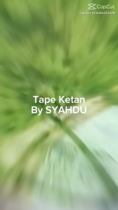 TAPE KETAN 500 gr HIJAU PANDAN ASLI BANDUNG MANIS HARGA PROMO