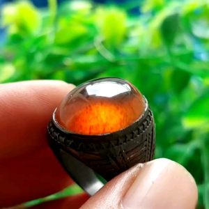 Cincin Batu Akik Getah Katilayu Natural Amber Berkualitas Tinggi