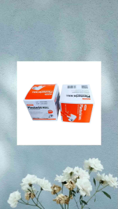 Plesterin Roll Non Woven 5cm x 5 Meter plester luka 1roll