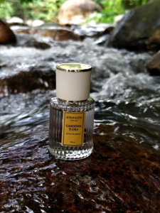 AuraHouse Perfume (woman) TOP 2025