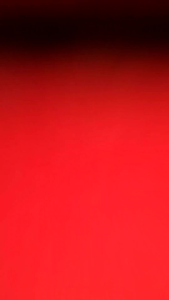 KERODONG SANGKAR LOVEBIRD WARNA BENDERA DUNIA