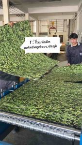 พร้อมส่ง เมทัลชีทลาย ใบไม้ การาจ ราคา/1แผ่น 🍃 ต่อเติมผนัง ทำรั้วแบบปิดทึบ