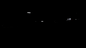 Lampu Tembak Sorot LED Laser 2 Mata: Panduan Lengkap