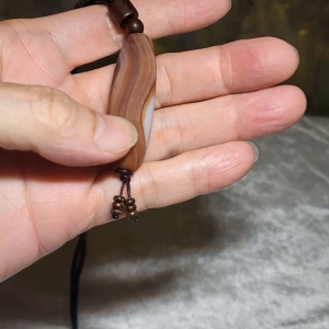 Gegegems Collection Tibetan Sardonyx Dzi pendant natural eye 4 Eyes natural pattern Taiwan map shape 收藏品藏传缠丝玛瑙天珠天眼四眼天然台湾图形