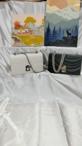 Tas Selempang Wanita Import 2024: Tips Memilih & Menggunakan