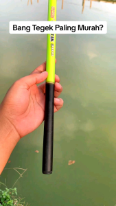 JORAN TEGEK OREGON GELATIK 180 210 240 270 300 360 450