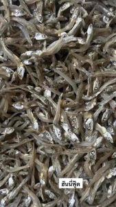 ปลาจิ้งจัง 1-2 เซน ไม่เค็ม ไม่ใส่วัตถุกันเสียและปรุงแต่ง ปลายนาว หลายครั้งมีการผลิต