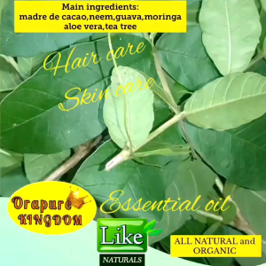 Madre de cacao Healing oil 100ml and 50ml for pets and humans Orapure kingdom with neemguavamoringaaloe veratea tree.