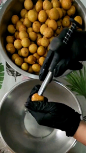 ไม้แกะลำไยสดที่คว้านเม็ดลำไย ที่แกะเม็ดลำไย สมบัติของที่คว้าที่แกะเม็ดลำไย มีสปริง