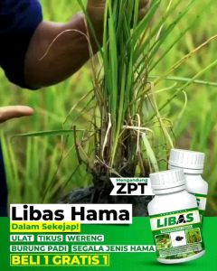 pupuk libas solusi lawan hama beli 1 gratis 1