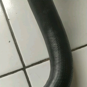 SELANG RADIATOR HONDA CIVIC WONDER 87 BAWAH KW 1