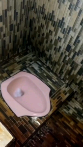 PAKET HEMAT ISI 2 GeniQ Pembersih Noda Kerak membandel diarea Toilet dan Dapur