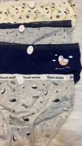 Combo 5 quần chip cho bé gái cotton nhiều hoạ tiết dễ thương