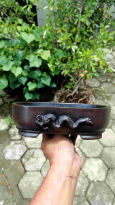 Pot Bonsai Oval Relief Naga - Estetik