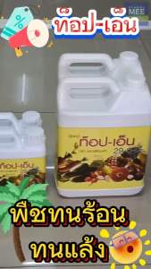 ปุ๋ยกิฟฟารีน ท็อปเอ็น ราคาใช้จ่าย 100 บาท - 250 บาท ปุ๋ยน้ำ เร่งใบ แทงช่อดอก เร่งเถาเลื้อย 30-0-0 ขนาด 1 ลิตร