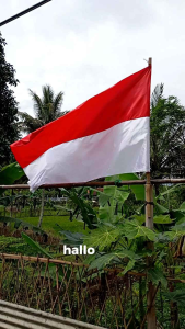 (20pcs)bendera merah putih besar jumbo kain premium