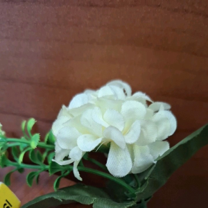 BUSI D8EA NGK SPARK PLUGS 1348 GL PRO MEGA PRO TIGER THUNDER 250 SCORPIO 1 PCS ORIGINAL