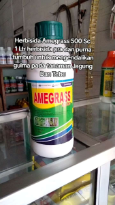 Herbisida Amegrass 500 Sc 1 Ltr herbisida pra dan purna tumbuh untuk mengendalikan gulma pada tanaman Jagung Dan Tebu Dari Petrosida Gresik