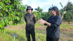 เอฟอช Aforch สารนำพา สารจับใบ ขนาด 1 ลิตร ไม่มีสารตกค้าง ดูดซึมทันที 3-5 นาที ปลอดภัยไม่มีสารตกค้าง