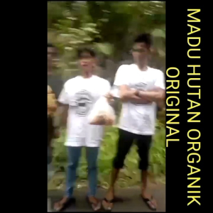 Buricio Honey Madu Hutan Organik 350gr