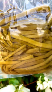 2Kg (4 túi như hình) RAU MÓP MUỐI CHUA - ĐẶC SẢN CỦ CHI