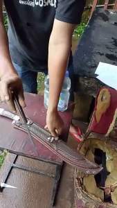 Pisau golok sembelihan Set baja SUP9 sepuh jumbo