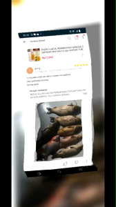 ESSEN SI JADUL(NHT) Aroma Permentasi wangi Nangka Cempedak amisan Halco Tuna nyengat.Target Rame/Babon ikan MasBawalPatin dan Nila