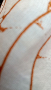 Batikcaca-blouse Batik elegant lengan pendek katun prima