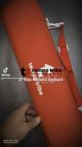 Tempo Tribe 37-Keys Melodica: A Compact & Portable Musical Instrument