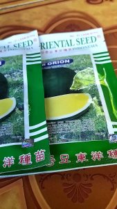 TERMURAHHH !! -+ 500  BENIH SEMANGKA KUNING NON BIJI OR ORION