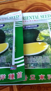 BURUANNN MURAH!! -+ 500 BIJI BENIH SEMANGKA KUNING NON BIJI OR ORION