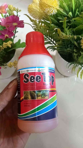 See Top 250ml Herbisida basmi rumput dan Alang Alang