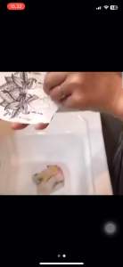 Tatto Semi permanen Fruit Ink 19x12cm Tahan lama hingga 2 minggu