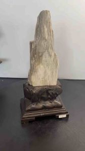 TSK Crystal  SHY030 天然树化玉 黄里透白 色泽圆润 特制雕刻实木底座 Natural Tree Fossil Jade