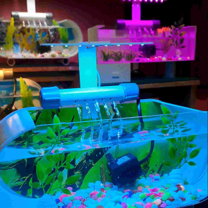 Aquarium Mini Full Set Dengan Pompa & Filter / Aquarium Akrilik / Aquarium Ikan Cupang / Aquarium