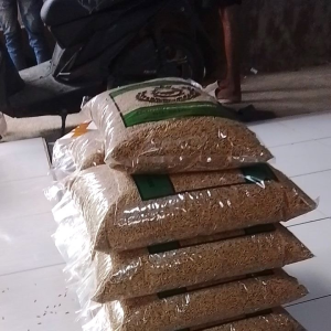 Benih/Bibit Padi SEDAYU benih padi super unggul kualitas terbaik KEMASAN 5KG