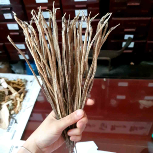 50 con Hải xà biển khô (50gr)  ngâm rịu bo than trang duong