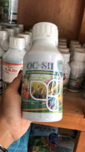 OC SIL 60 Pupuk Cair Perlindungan Tanaman Dari Serangan Penyakit Dan Hama