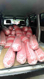 Bantal Kapuk & Guling Kapuk Asli 100% Tanpa Biji Klenteng
