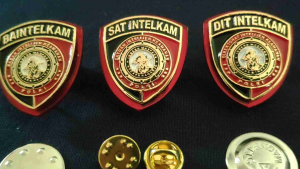 PIN / BRIVET SAT INTELKAM DIT INTELKAM BA INTELKAM