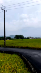 T-Shirt jangan bosan saling berpesan kain katun combet kaos kata kata kaos viral kaos pria distro kaos terbaru