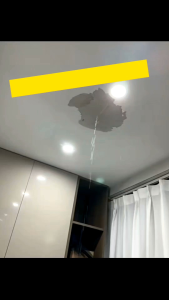 Roof Waterproofing Coating Paint 1kg 5kg Waterproof Glue Cat Kalis Air Seal Repair Crack