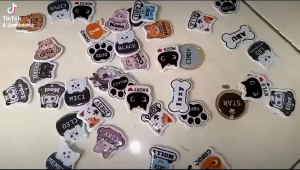 KALUNG KUCING CUSTOM Nama dan lonceng hewan lain lain Custom