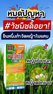 500 ซีซี พาโตวีด 6.9% W/V EW ฟีโนซาพรอป-พี-เอทิล พร้อมกำจัดหญ้าในนาข้าว หญ้าดอกขาว หญ้าข้าวนก ฉีดซ้ำข้าวไม่แดง