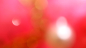 Gantungan Kunci dan Tas Shaker Warna Karakter Lucu